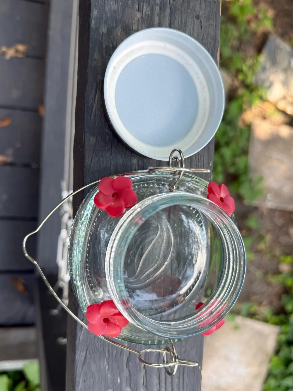 Glass Hummingbird Feeder with Red Flower Ports